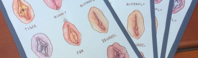 Verlosung: Vulva-Postkarten zu DIE GÖTTLICHE ORDNUNG